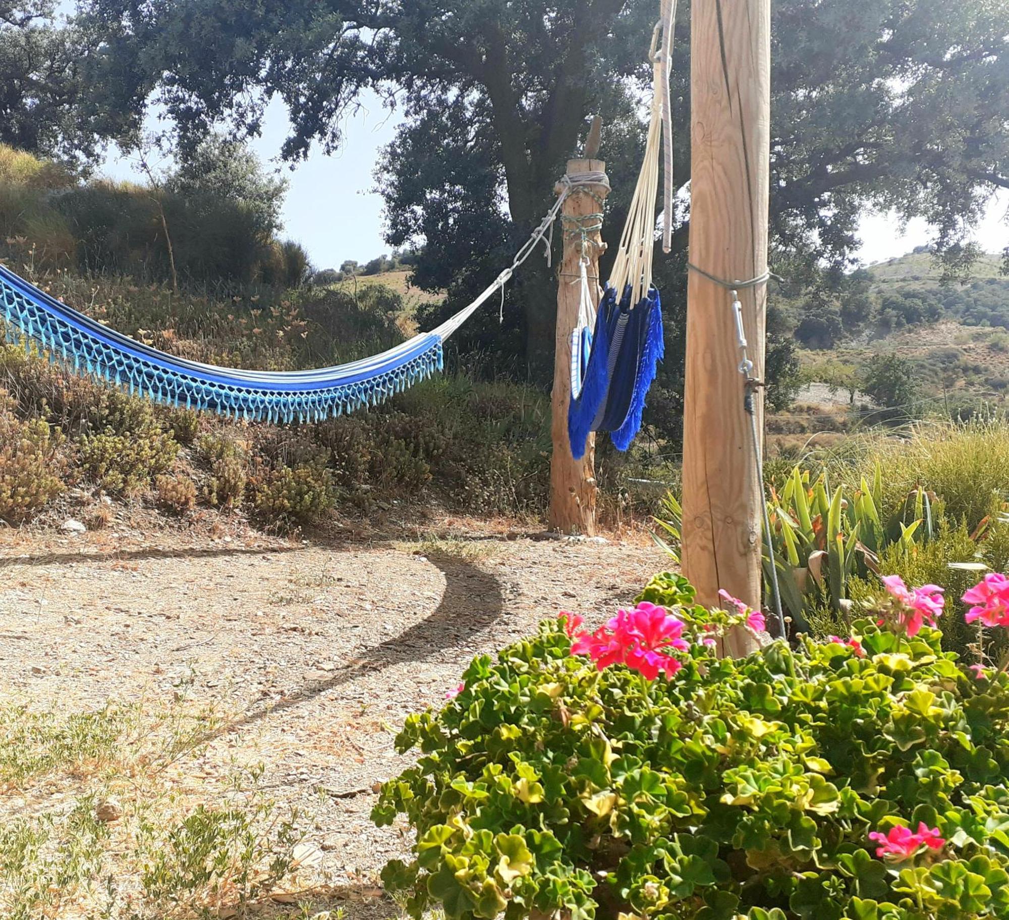 Cortijo Los Maximos Turon Екстер'єр фото